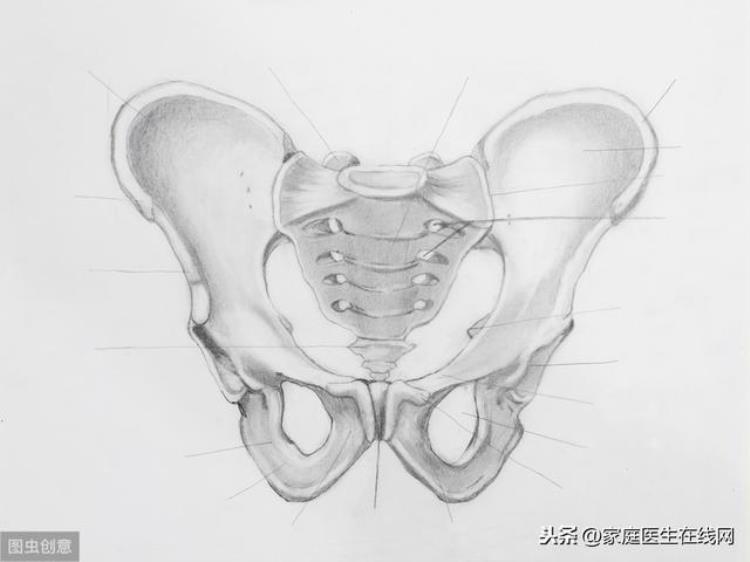 为什么会造成骨盆前倾「为什么会发生骨盆前倾这4类人群都很容易中招」