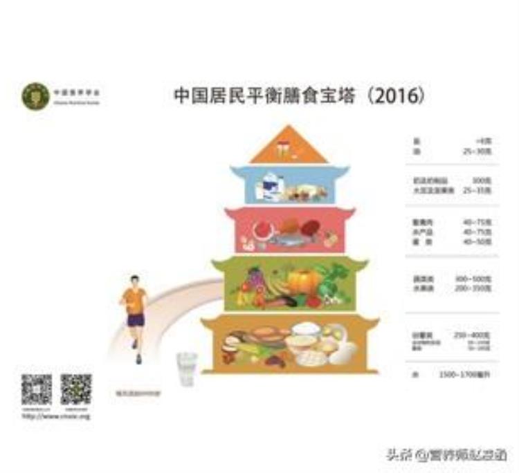 中国居民膳食指南食物多样,谷类为主「中国居民膳食指南解读一为何食物众多却要以谷类为主」