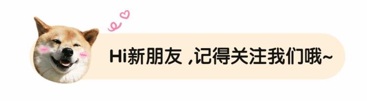 狗为什么要把食物叼出狗盆「狗狗为什么要把食物叼出碗外背后的原因让人心疼」