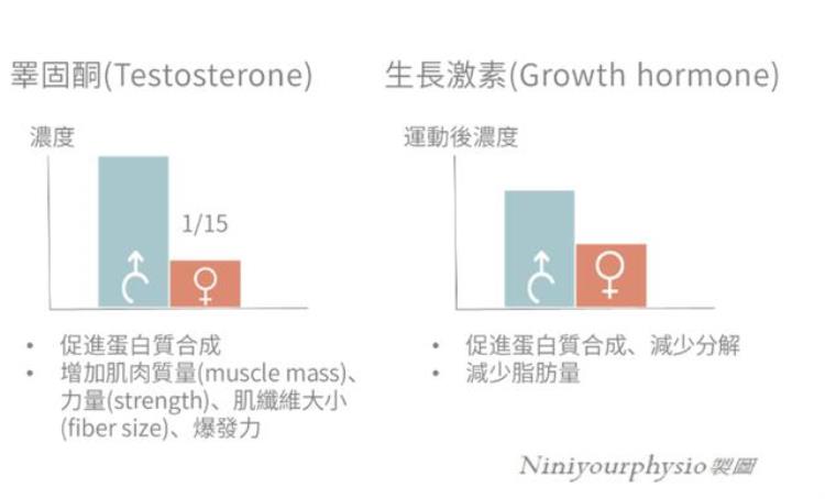 练肌肉的好处与作用「说真的女性练肌肉的好处你可能想不到」