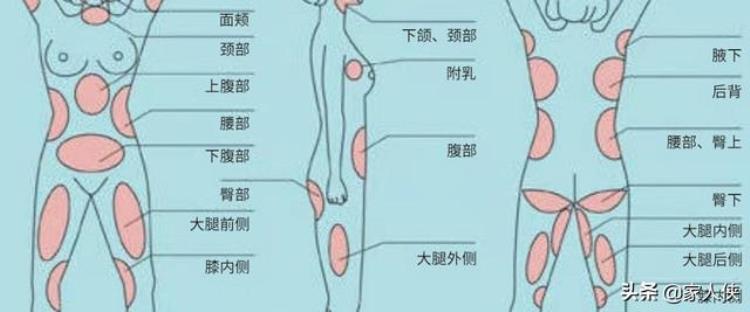 所谓的肌肉腿是什么腿「所谓的肌肉腿是什么」