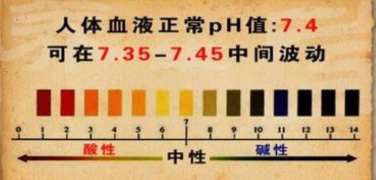 吃酸性食物过量是百病之源「据说体酸是百病之源吃酸性食物会致癌肿瘤科医生说了心里话」