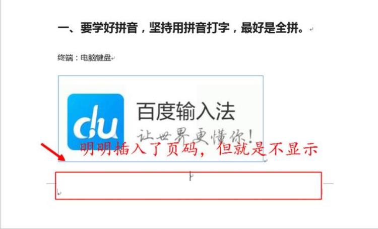 为什么有些页码不显示「明明输入了页码但有部分页码不显示这是怎么回事」