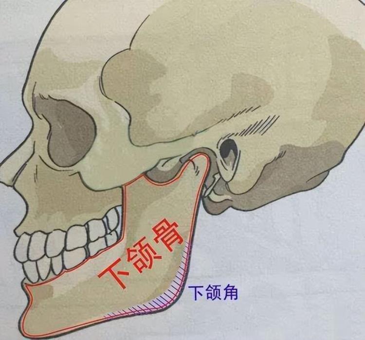 上海九院韦敏做下颌角价格「九院韦敏|如何安全告别国字脸下颌角宽大如何改善」