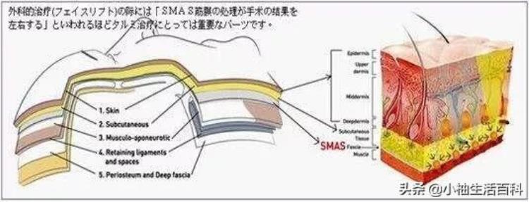 头皮松弛衰老远比其它部位衰老可怕怎么办「头皮松弛衰老远比其它部位衰老可怕」