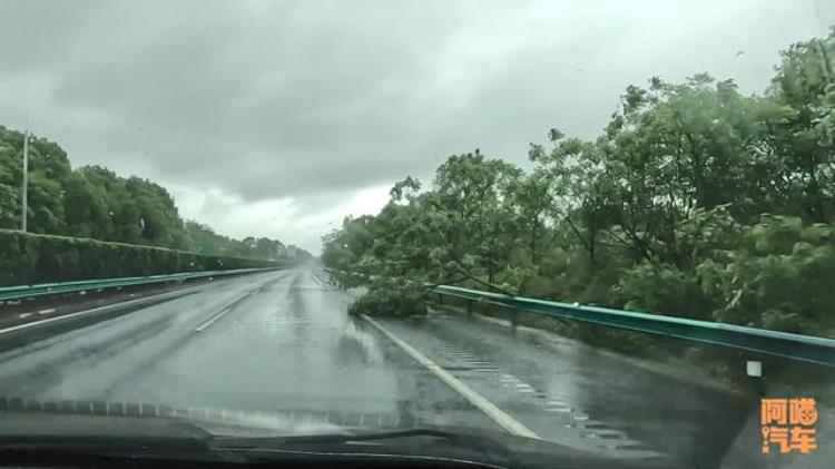 在高速遇到暴雨怎么办「跑高速遇到暴雨做错了很危险喵哥教你正确做法新手学学」