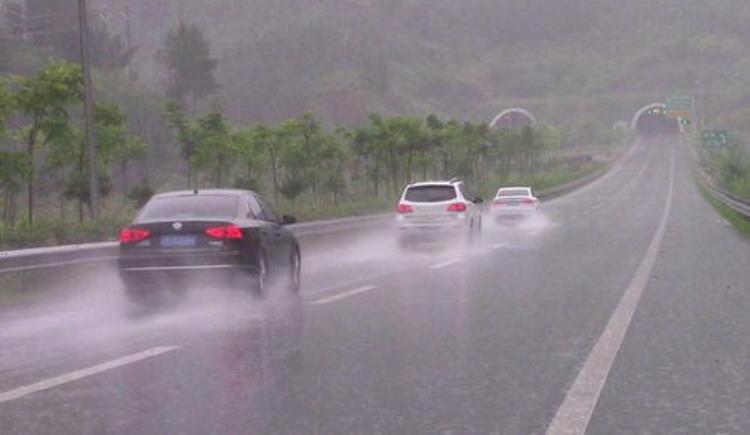 在高速遇到暴雨怎么办「跑高速遇到暴雨做错了很危险喵哥教你正确做法新手学学」