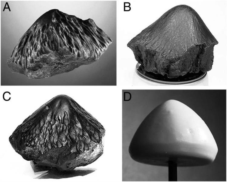 为何大多数陨石是锥形通过实验科学家给出了答案