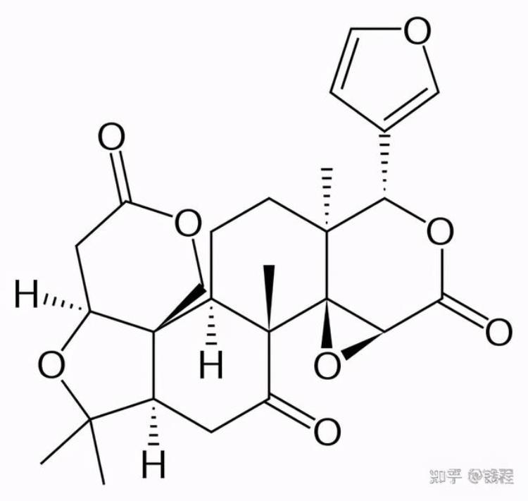 为什么柠檬水泡久了会变得发苦呢「为什么柠檬水泡久了会变得发苦」