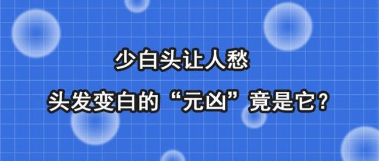 少白头让人愁头发变白可能是这些原因吗「少白头让人愁头发变白可能是这些原因」