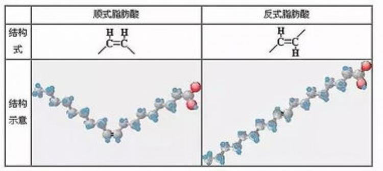 食用反式脂肪酸的危害「春节购买年货要警惕反式脂肪酸您可能还不了解它对人危害极大」