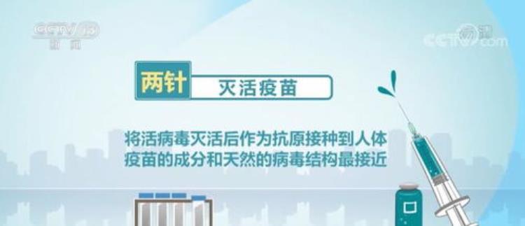 中国新冠疫苗缘何选用灭活技术路线「中国新冠疫苗缘何选用灭活技术路线」