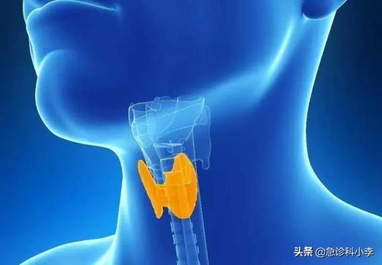 结节不能吃牛肉「牛肉是结节催化剂再次提醒不想结节恶化3种食物要少吃」