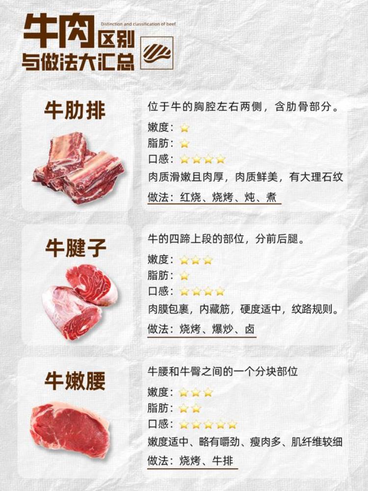 牛肉说明书各部位区别与做法大全图解「牛肉说明书各部位区别与做法大全」