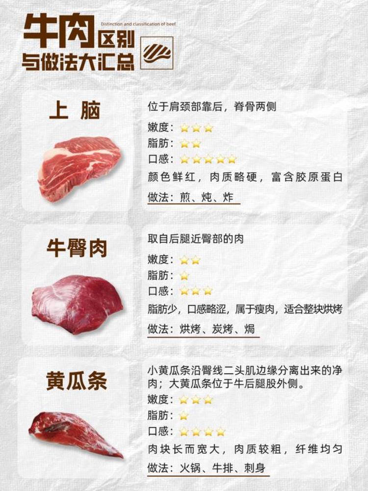 牛肉说明书各部位区别与做法大全图解「牛肉说明书各部位区别与做法大全」