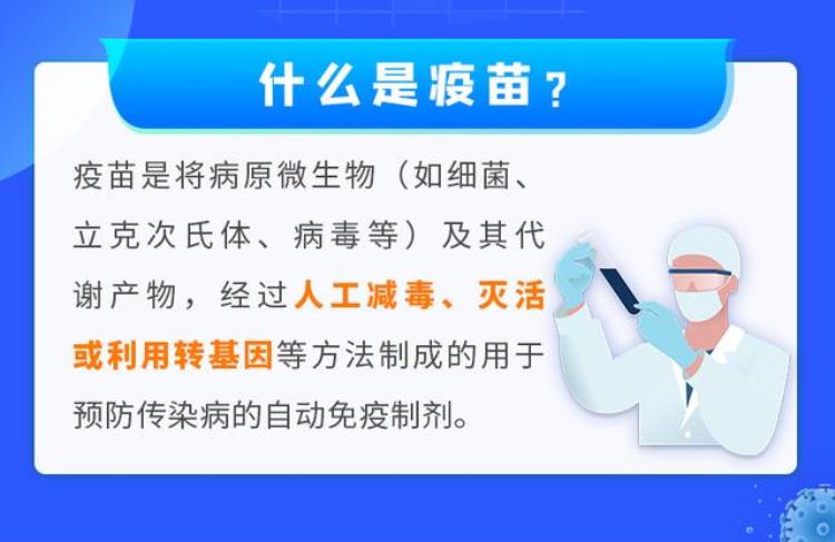 疫苗的针孔「疫苗知多少探一探小针头里的大秘密」