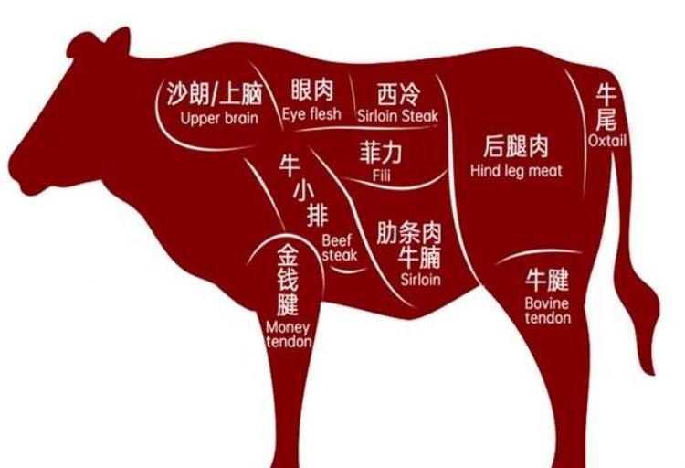 买牛肉哪个部位最有营养「买牛肉不管有钱没钱记住只买这5个部位都是牛肉精华」