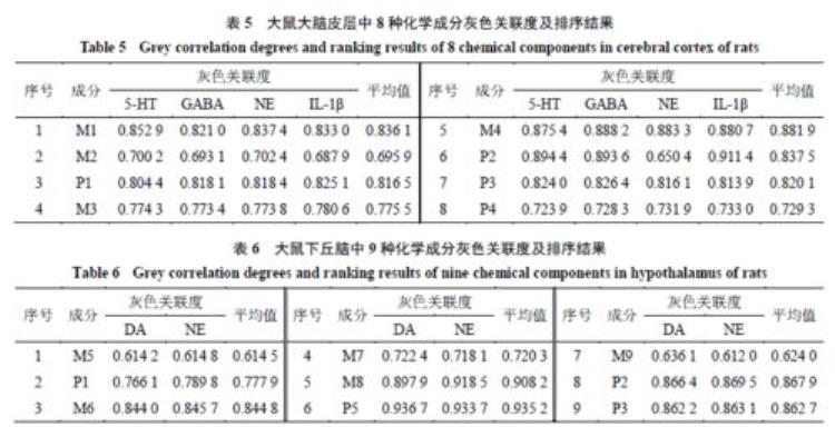 为什么要用专业采耳工具采耳呢「为什么要用专业采耳工具采耳」