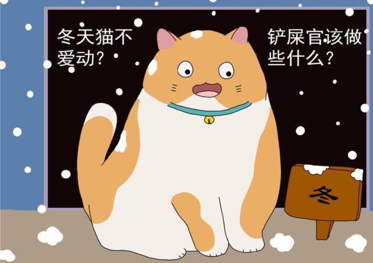 冬天猫不喜欢动,冬天猫会不会变懒