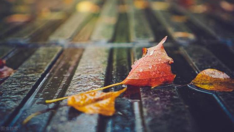 为什么说一场秋雨一场凉「为什么说一场秋雨一场寒今年的秋天又下雨了你那冷了吗」