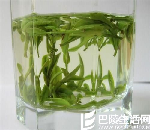 天目湖白茶属于绿茶类不属于白茶类？天目湖白茶的特征...