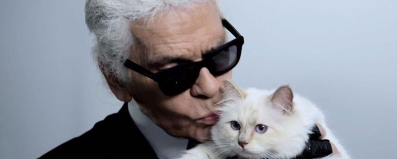 karl-lagerfeld-launches-new-accessories-inspired-cat-12308.jpg