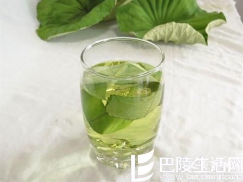 荷叶茶饮用知识：喝荷叶茶要注意什么？哪些人不适合喝...