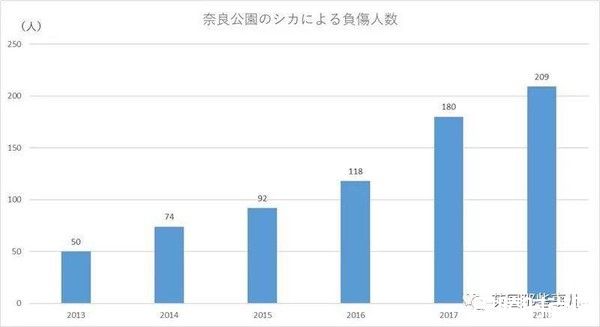 被奈良的鹿咬了怎么办？日本奈良鹿攻击事件5年成长4倍