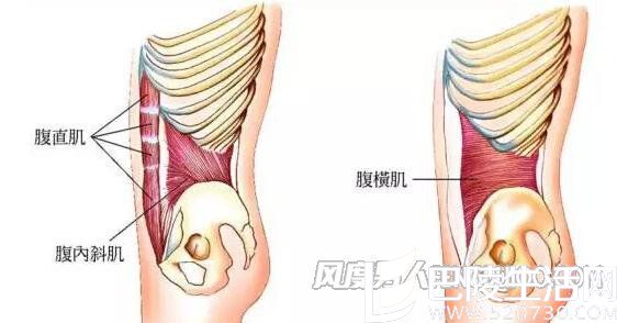 腹横肌锻炼方法 腹横肌在哪里 男人腹横肌锻炼