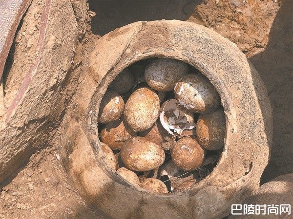 古墓出土春秋时期鸡蛋 封存2500年仍完好无损