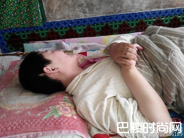 照顾植物人女朋友？林莺莺刘凤和宣判