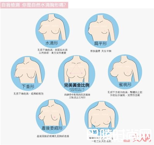 根据胸型选内衣  一字肩如何搭配内衣单肩如何搭配内衣吊带如何搭配内衣深V如何搭配内衣露锁骨如何搭配内衣