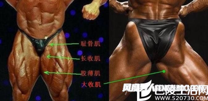 男人减掉腿上肥肉 练出大腿肌肉床上更有战斗力