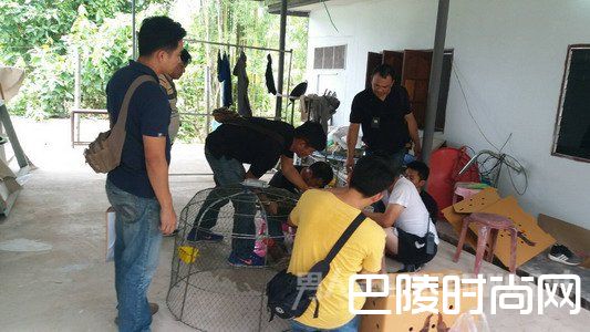 毒贩利用鸡运毒 警方逼其向鸡道歉