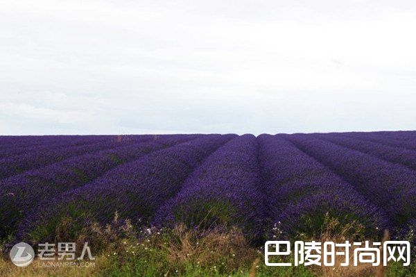 科茨沃尔德景点 castlecombe小镇|Snowshill小镇 Birbury小镇