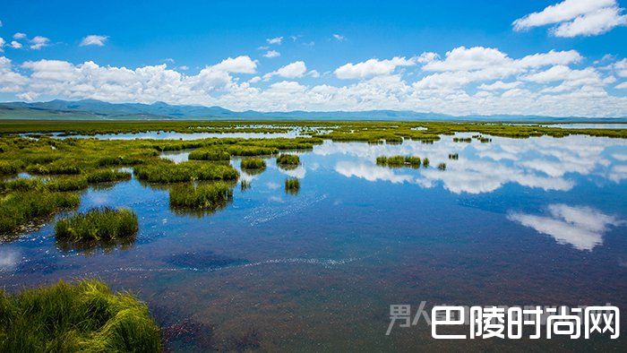 黑龙江三伏天裹棉袄出行 竟然能在大夏天被冻成狗