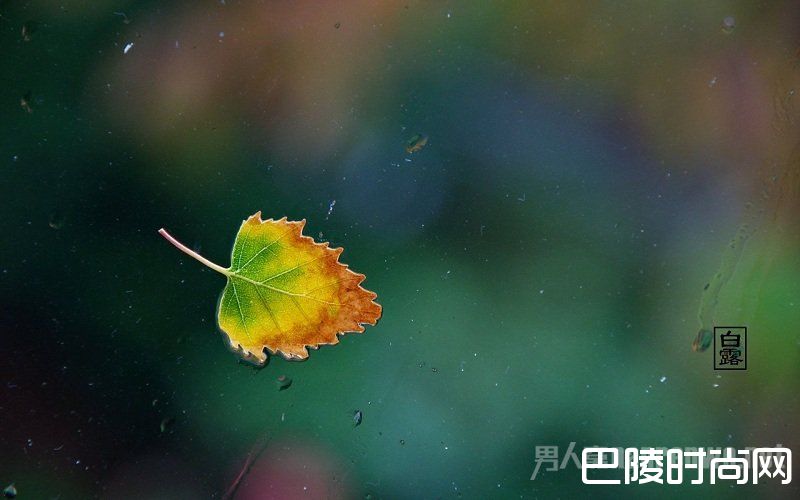 白露是什么意思？2017白露节气是几月几日？