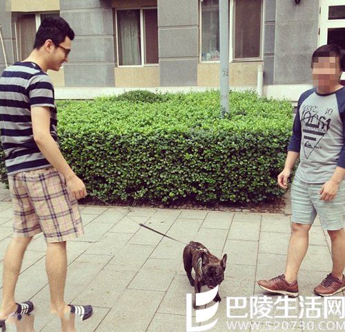 宋喆妻子杨慧没有带王宝强去捉奸 马蓉出轨图为假？