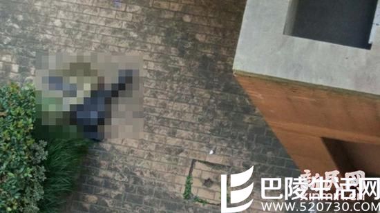 女子于复旦大学11层楼坠下身亡 他杀还是自杀惹人疑