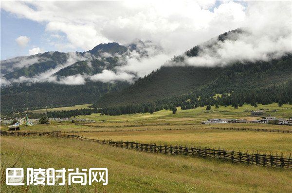 鲁朗林海简介 鲁朗林海旅游攻略|鲁朗林海美食攻略 鲁朗林海景区