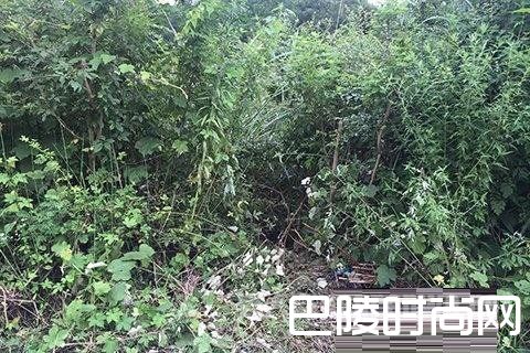 揭秘90后强奸杀人狂魔姚常凤：专挑落单女性下手