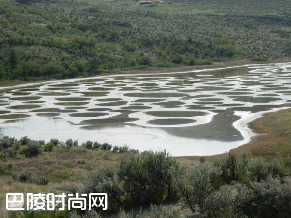 南极洲干谷 印度洋索科特拉岛|加拿大斑点湖 阿塔卡玛盐湖