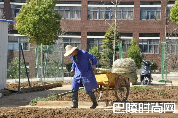 这鸡不一般！云南一大四学生校园内办养鸡场养鸡