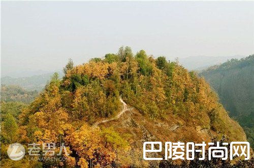 翠微峰自然保护区简介 翠微峰自然保护区地理位置|翠微峰自然保护区翠微峰 翠微峰自然保护区瑞竹峰