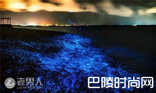 巴哈马粉色沙滩 马尔代夫星空沙滩|冰岛杰古沙龙湖冰滩 美国加州布拉格堡玻璃海滩