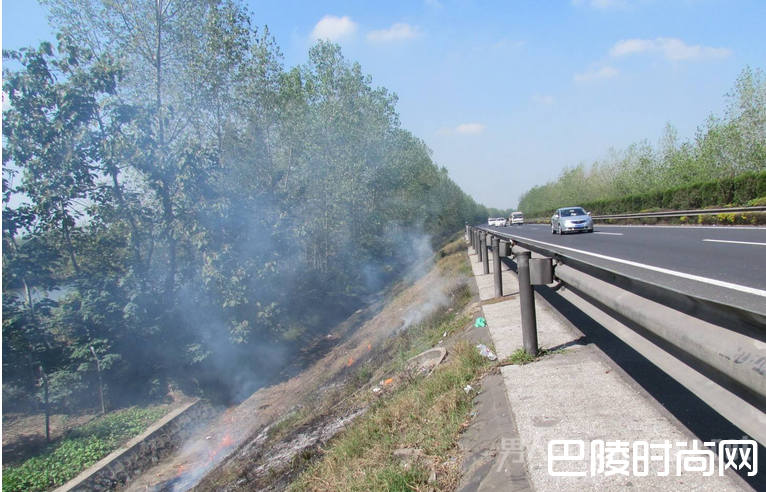 七旬保洁员上午举报路边有人烧垃圾 下午被辞退