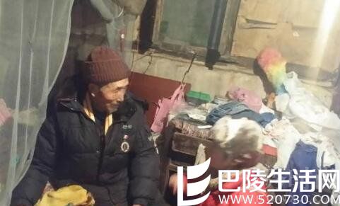 袁立遭网友恶评是因为何事 娱乐圈被黑的十大女星盘点