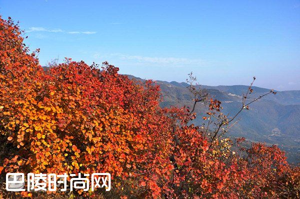 湖南岳麓山 北京香山|南京栖霞山 江苏天平山