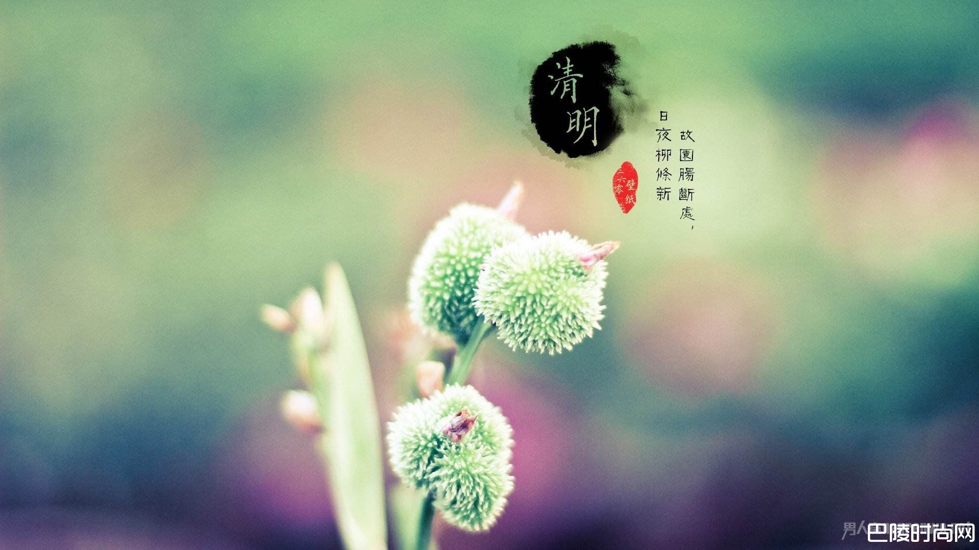 2017清明节祝福语大全 清明节温馨问候语精选