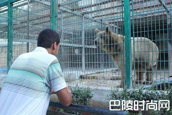 男子景区上演"佛山无影脚" 景区里的那些事